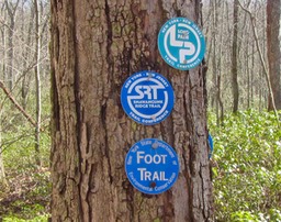 (08) 3/30/2016 Long Path Fergunson Rd. Relocation