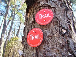 (03) 3/1/2016 Blazing the Red Trail