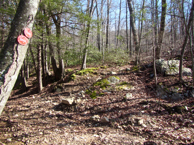 67 trail turns here