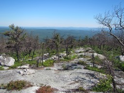 (11) 6/19/2016 Long Path inspection hike Rt. 52 to VFW Rd.