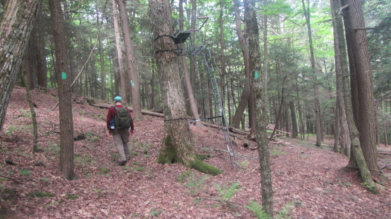 8 a tree stand right on th trail