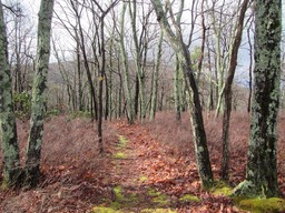(02) 4/21/2015 NY Long Path Inspection Hike 2 weeks before devastating fire
